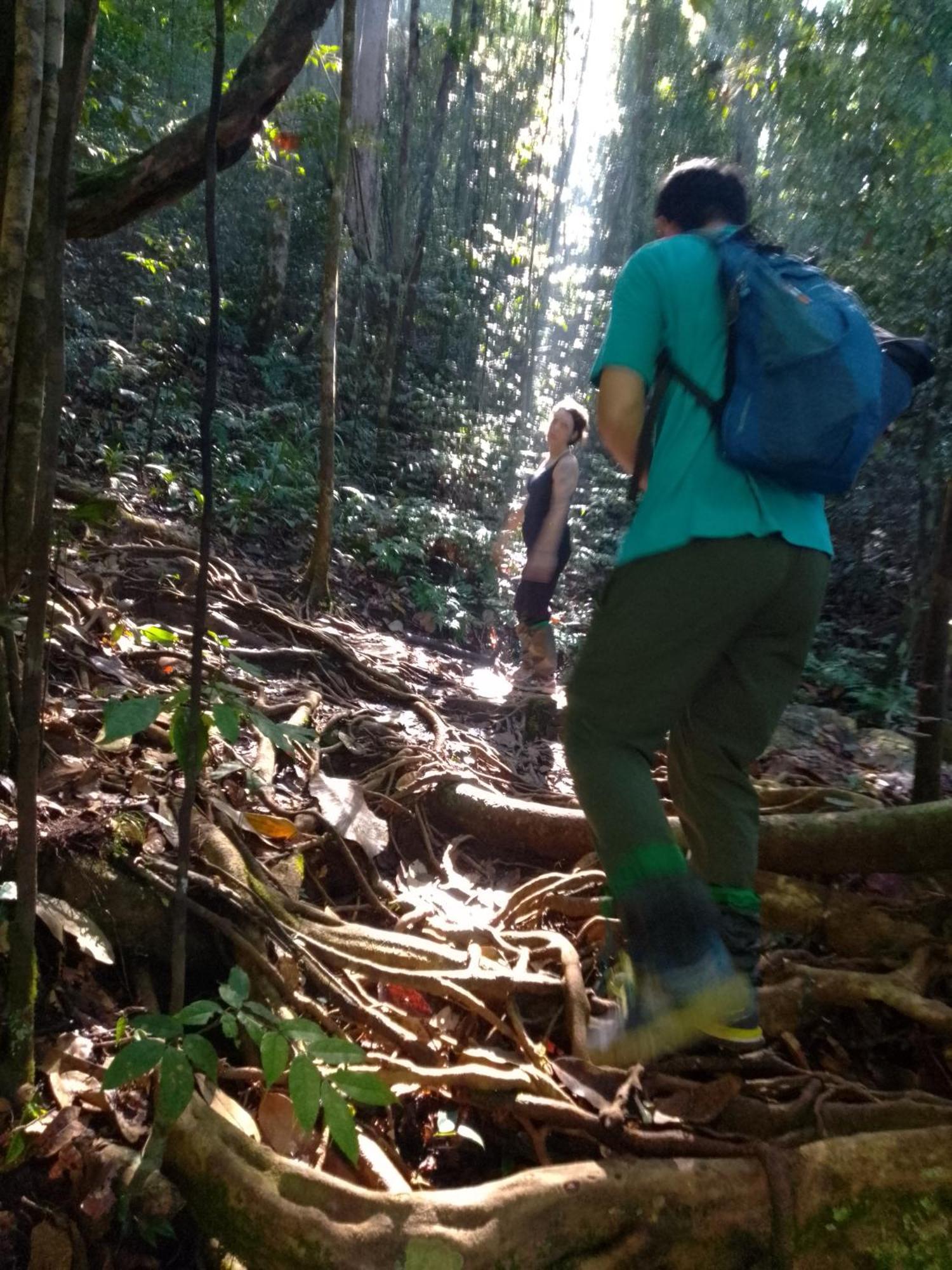 Rainforest River Edge เดนิยายา ภายนอก รูปภาพ